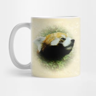 Red panda Mug